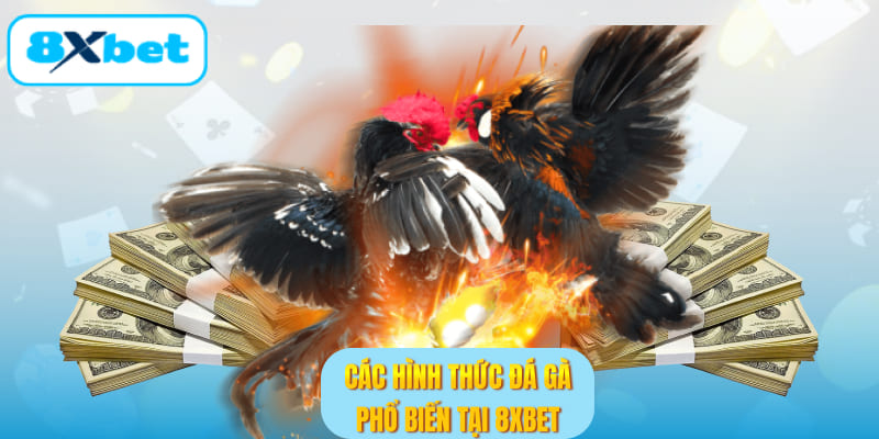 Tổng hợp các hình thức đá gà đang được cung cấp
