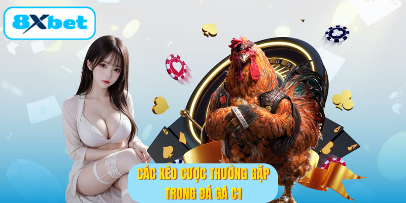 Các kèo cược thường gặp trong đá gà c1