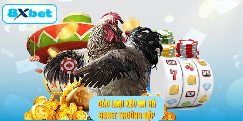 Các loại kèo đá gà 8XBET thường gặp