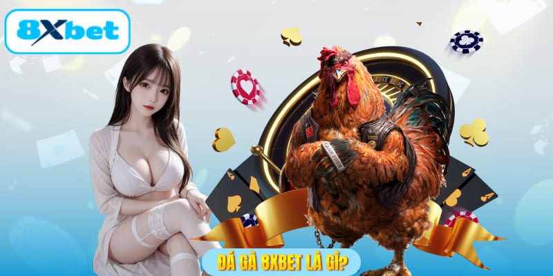 Đá gà 8XBET là gì?