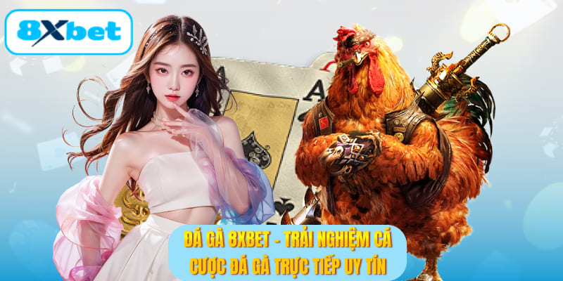đá gà 8XBET