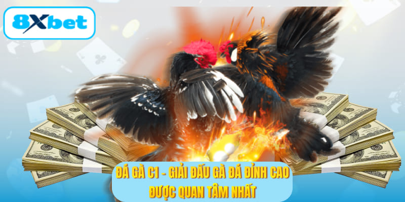 Đá gà C1