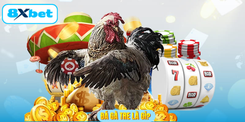 Đá gà tre là gì?