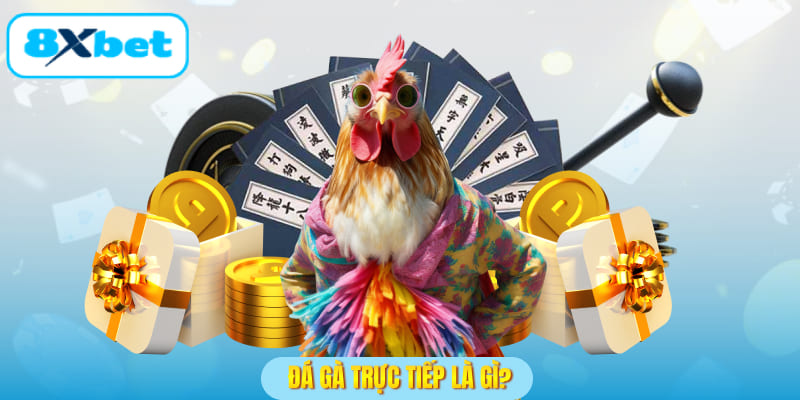 Đá gà trực tiếp là gì?