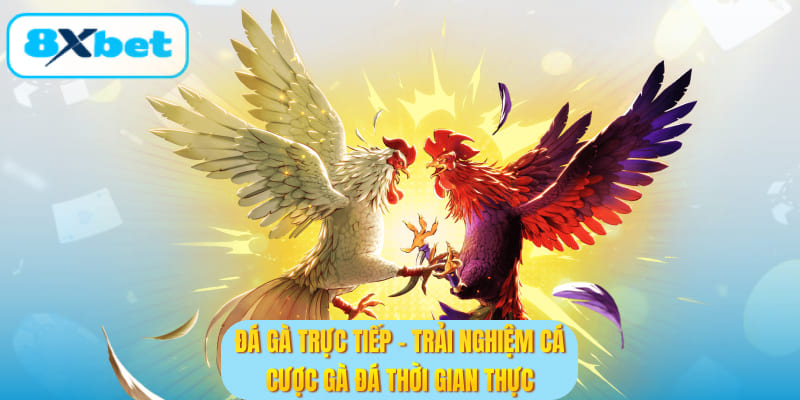 Đá gà trực tiếp