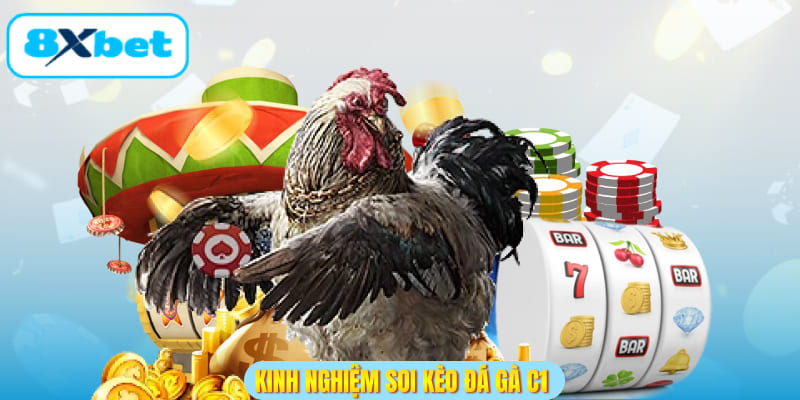 Kinh nghiệm soi kèo đá gà c1