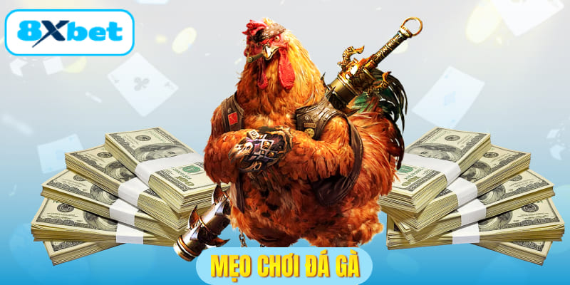 Mẹo chơi đá gà