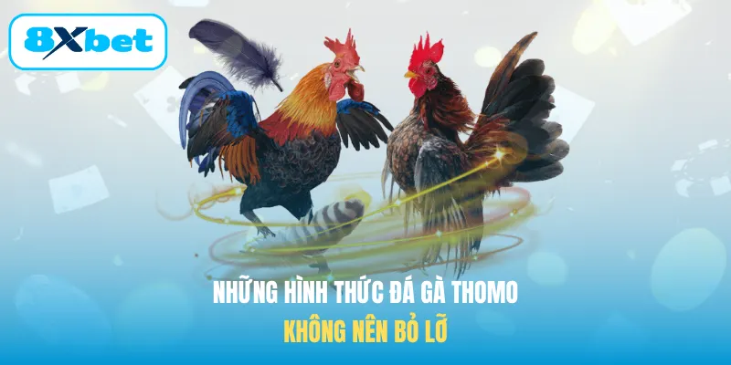 Những hình thức Đá gà Thomo không nên bỏ lỡ