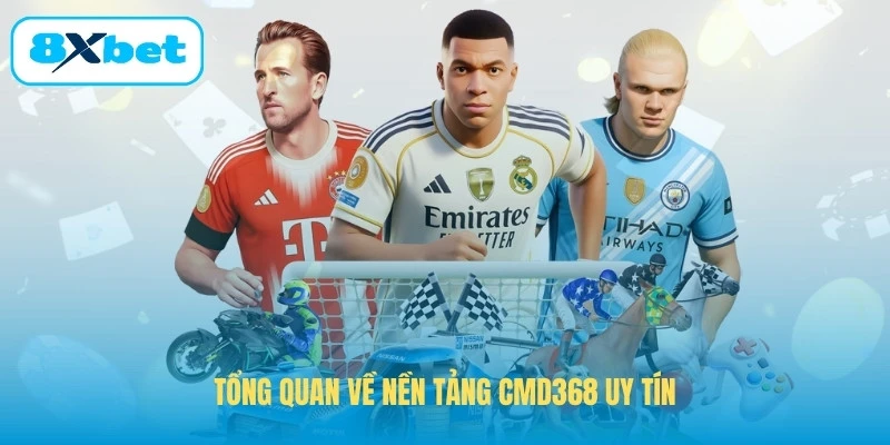 Tổng quan về nền tảng CMD368 uy tín
