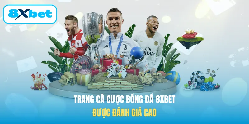 Trang cá cược bóng đá 8XBET được đánh giá cao