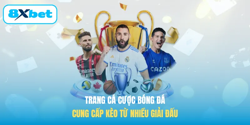 Trang cá cược bóng đá cung cấp kèo từ nhiều giải đấu